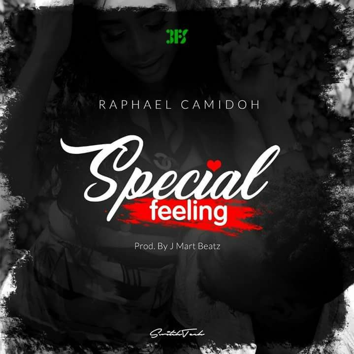 Video/Lyrics: Raphael Camidoh- Special Feeling