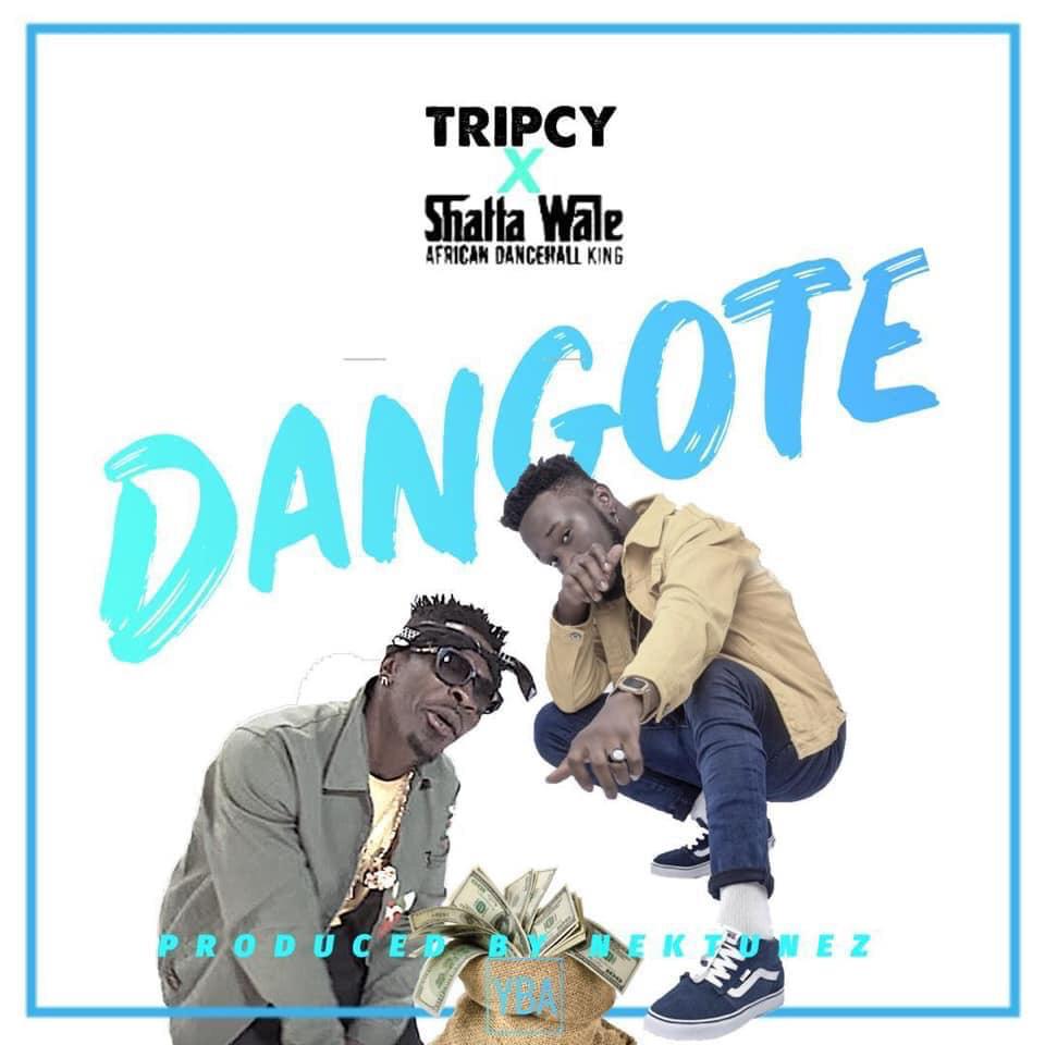 Tripcy x Shatta Wale – Dangote (Prod. By Nektunez)