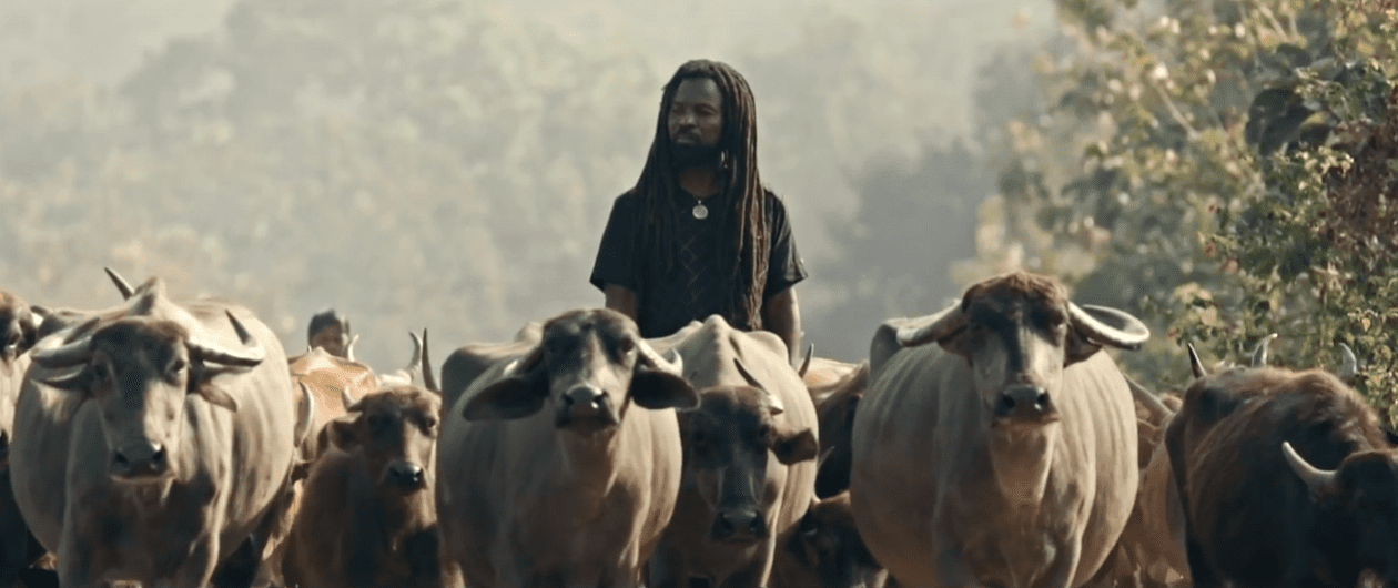 Rocky Dawuni drops new video spirit-filled #Elevation shot in India, from his #BeatsOfZion Album – WATCH