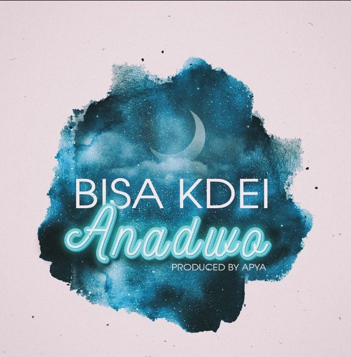 Bisa Kdei – Anadwo (Prod. By Apya)