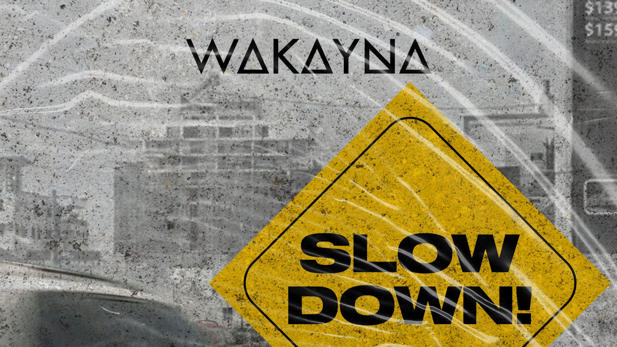 Audio + Video: Wakayna – Slow Down