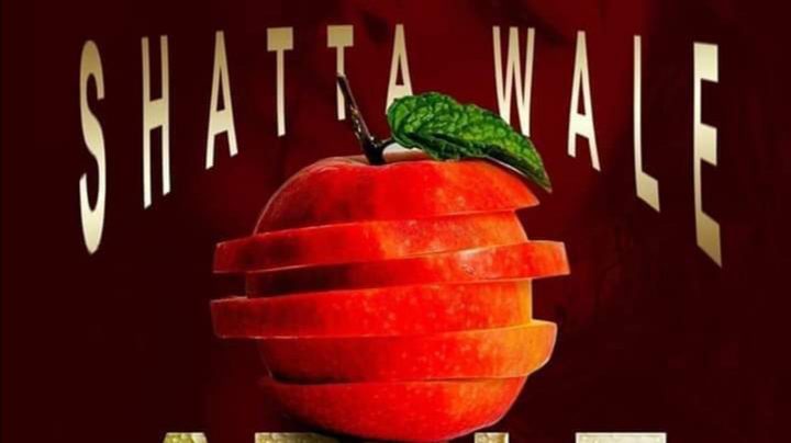 New Music: Shatta Wale – Apple Juice