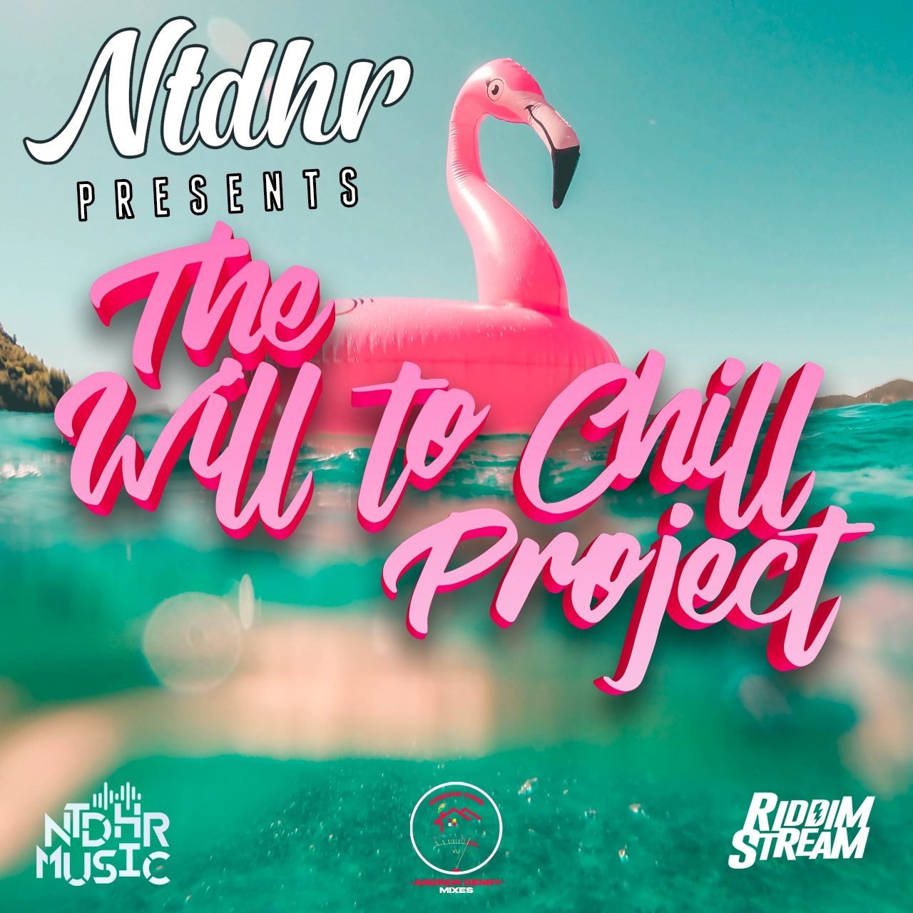NTDHR Music The Will To Chill Project